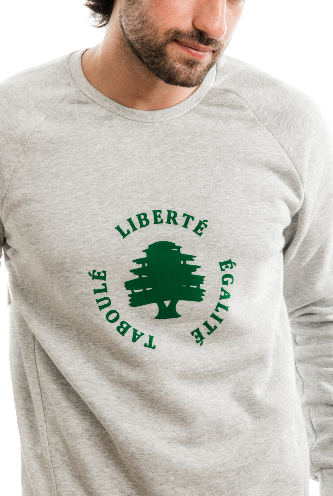 Young adult male wearing grey Sweater with Liberté Égalité Taboulé written in French and printed in green velvet in the center of the sweater.